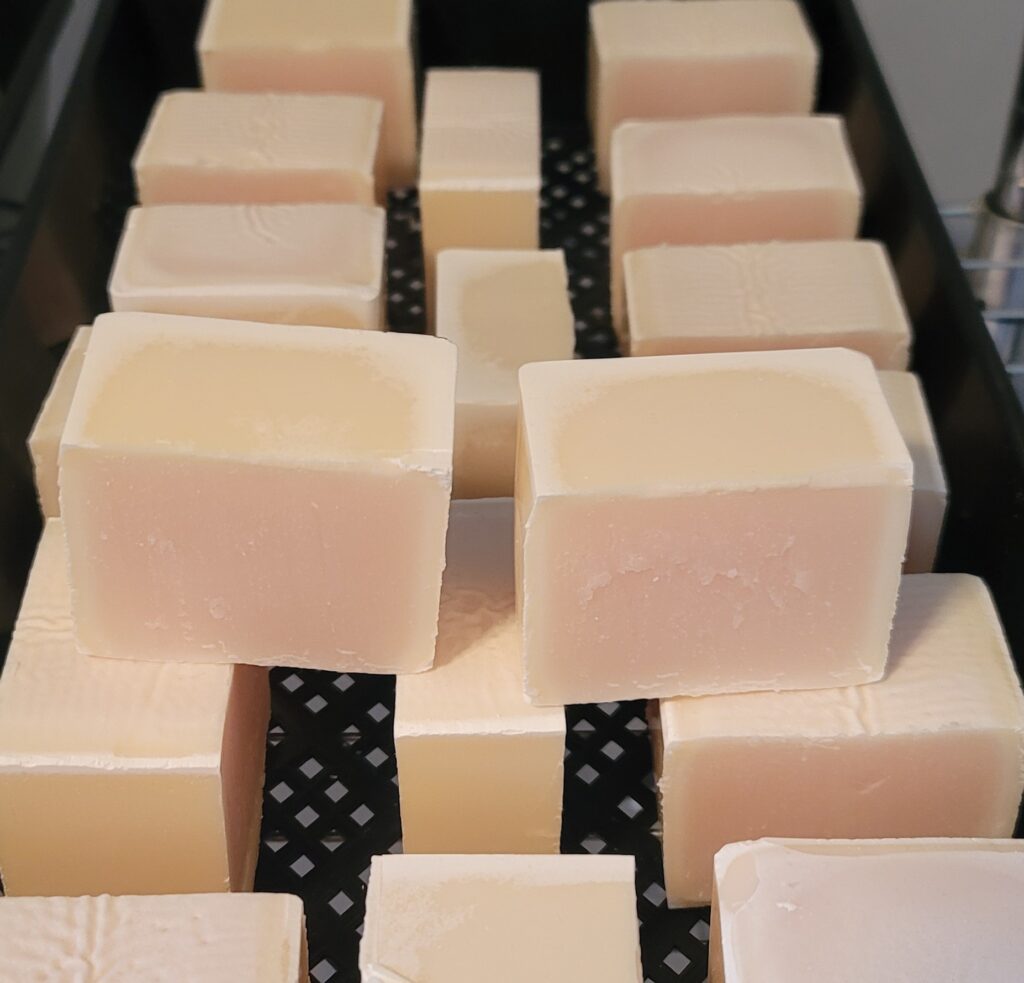 Lemon Lime plant based no waste dish soap