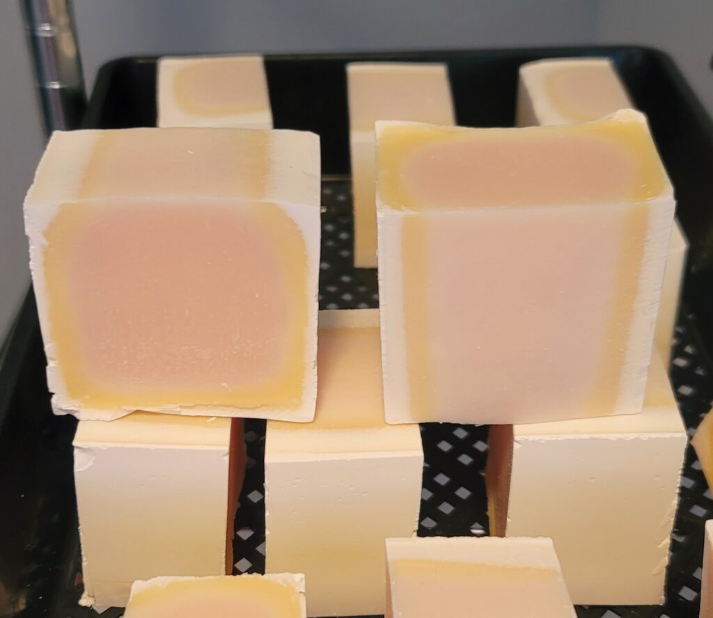 Lemon Eucalyptus. Zero waste dish soap. 